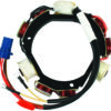 Johnson Stator (1992 - 1996) 40 -50HP 2 Cylinder, (1993 - 2001) 40/50/60/70HP 3 Cylinder Electric Start